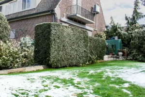 bovengrondse regenwatertank, regenton vorstbestendig