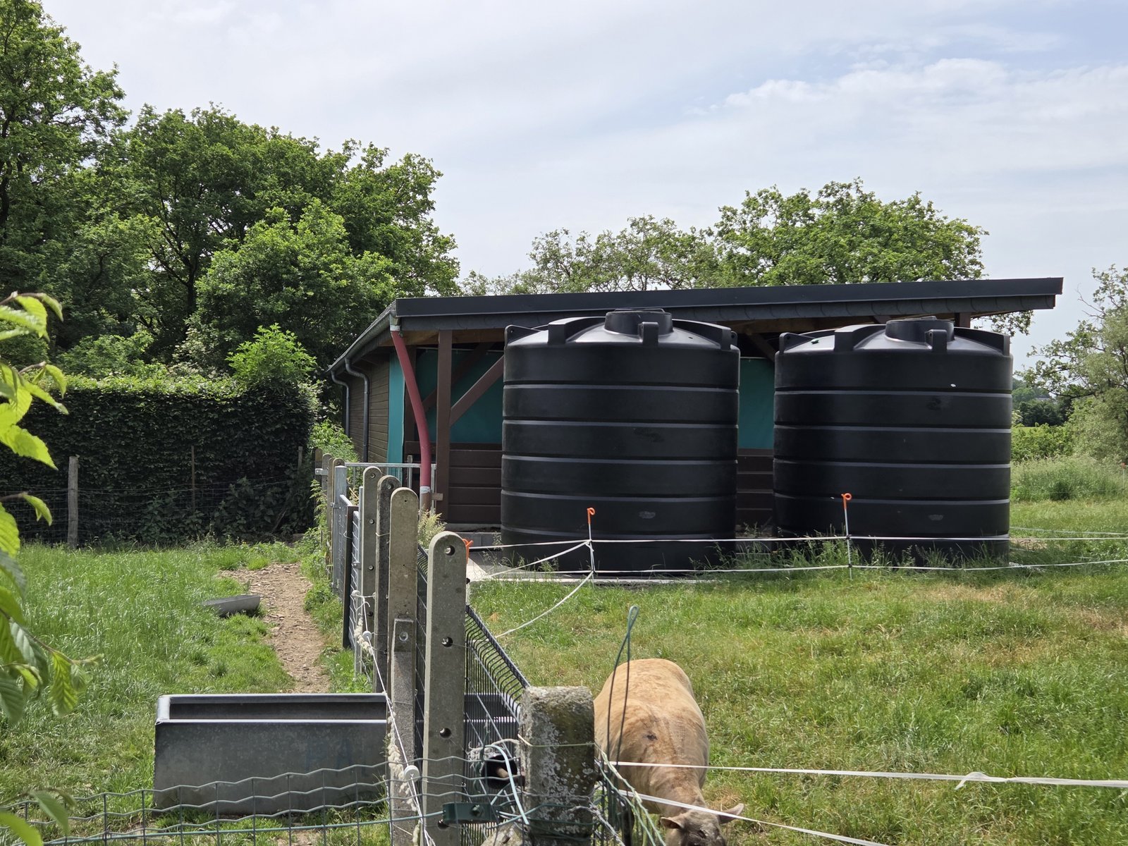 Twee gekoppelde bovengrondse ronde watertanks van 10.000 liter onder een afdak in een weide